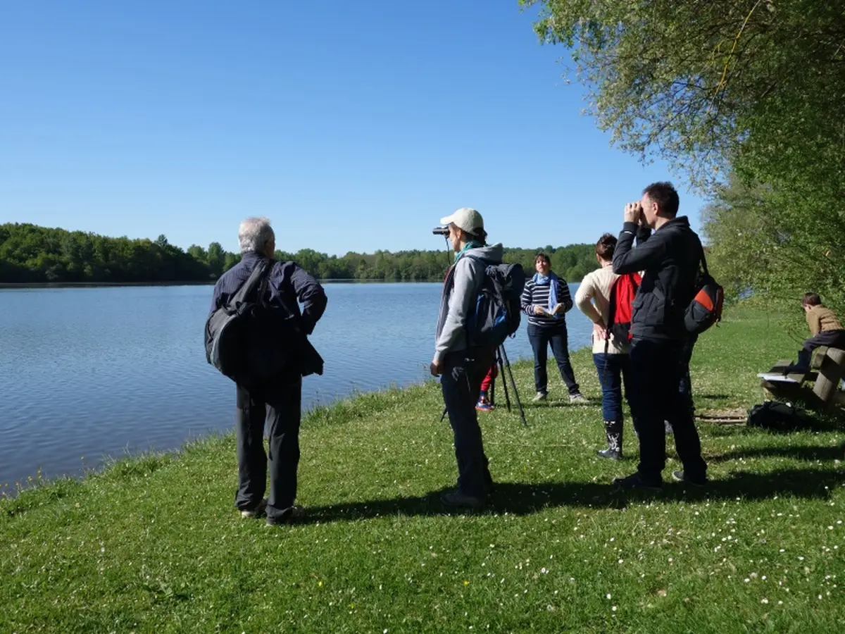 Rallye nature - Les oiseaux