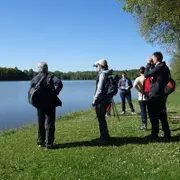 Rallye nature - Les oiseaux