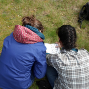 Rallye nature - Les rapaces