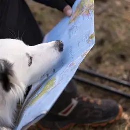 Rallye-photos en autonomie : un animal fugitif à Reuilly