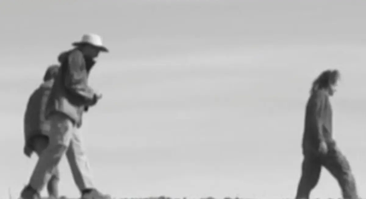 Ramaillages En Cévennes