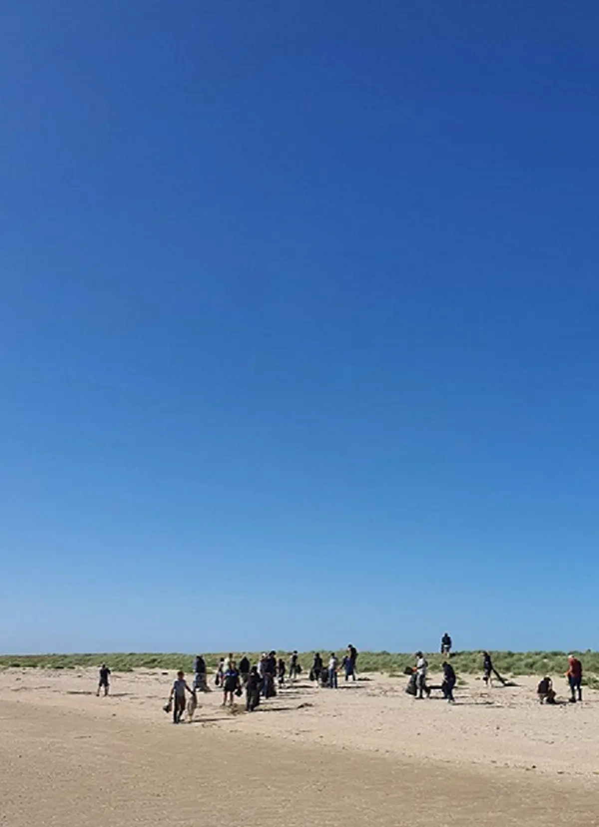Ramassage des déchets sur le littoral de la Réserve de Beauguillot