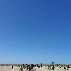 Ramassage des déchets sur le littoral de la Réserve de Beauguillot