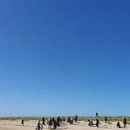 Ramassage des déchets sur le littoral de la Réserve de Beauguillot