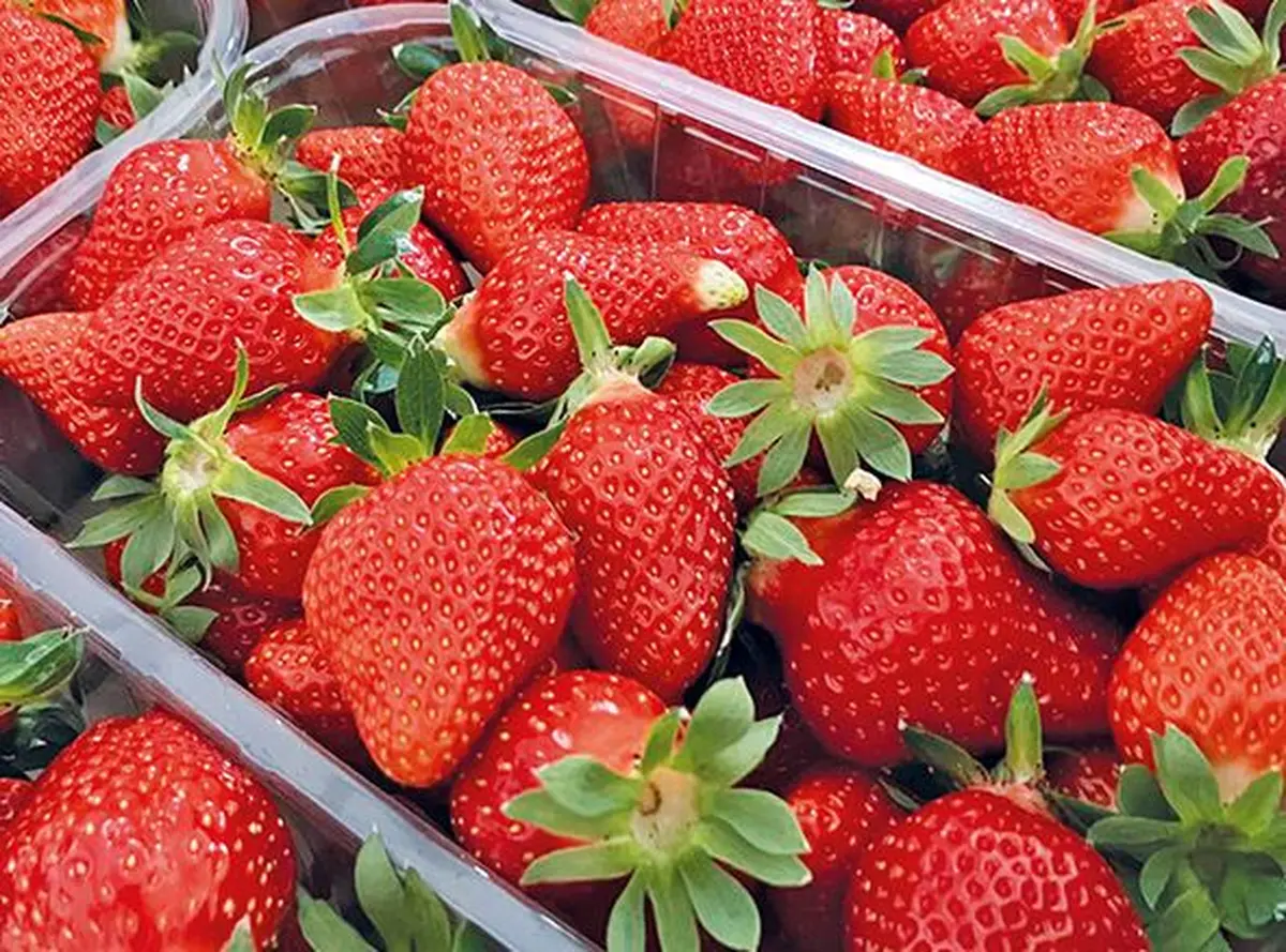 Et ça donne l'eau à la bouche !