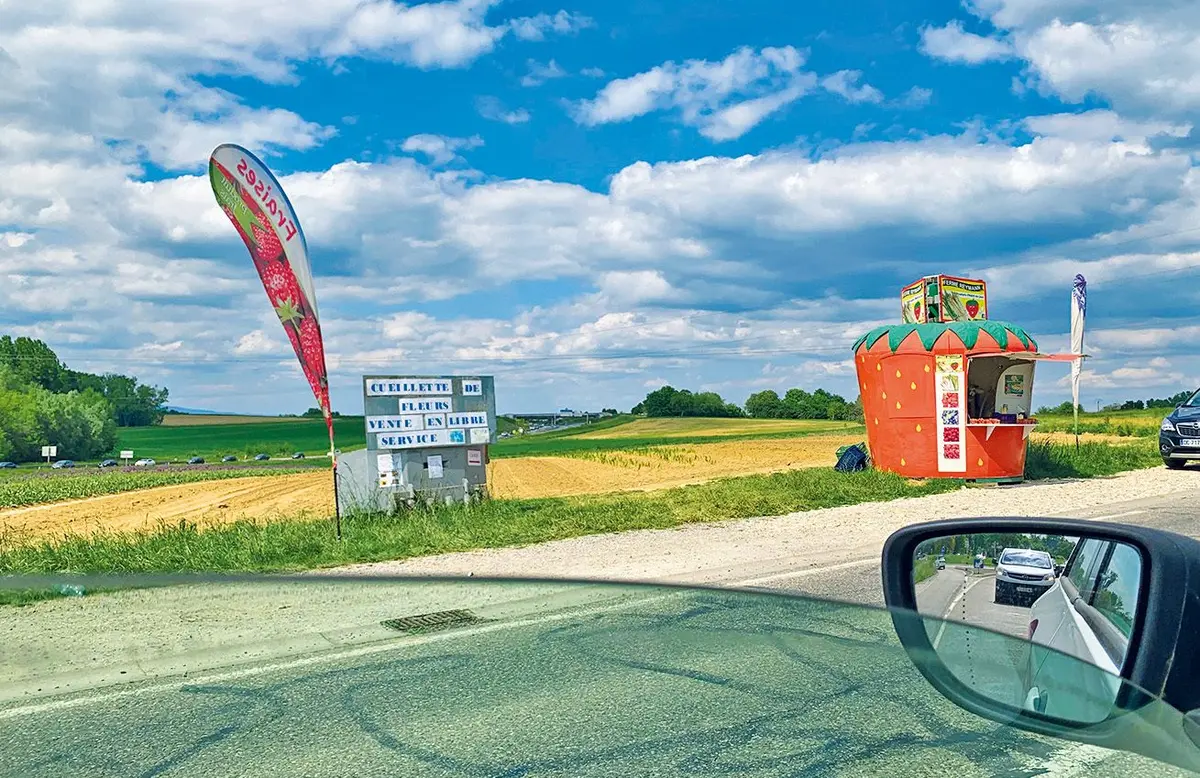Les cueillettes sont nombreuses au bord de nos routes