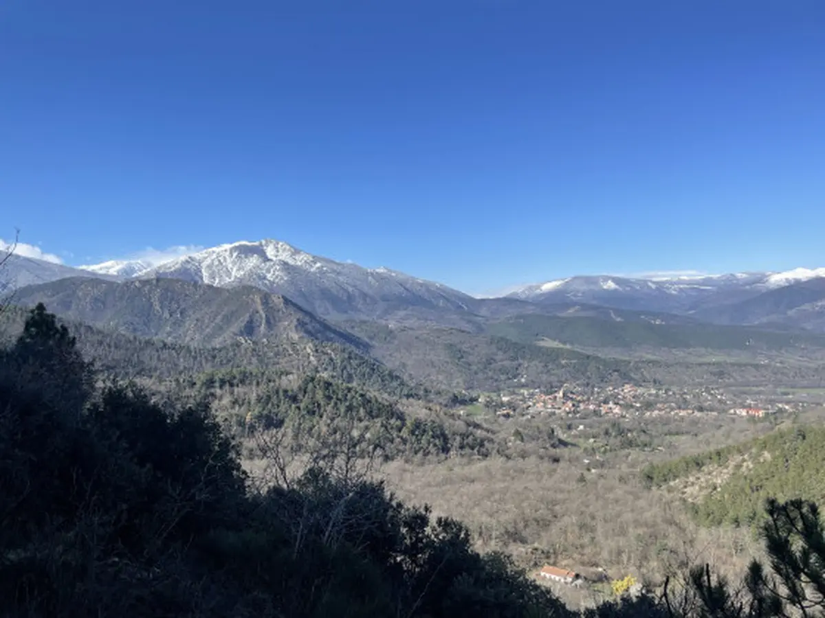 Rando Accompagnee : Boucle Forestiere Vers Le Balcon Du Cogullo