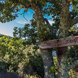 Rando Accompagnee : De Baillestavy A Valmanya Par De Beaux Sentiers En Foret
