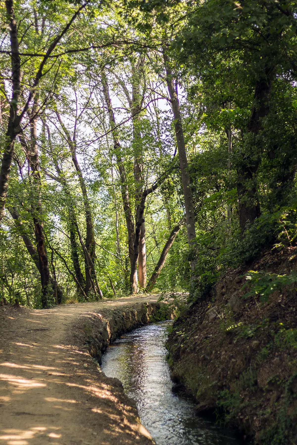 Rando Accompagnee : Le Canal De Bohere Et L'Abbaye Saint-Michel De Cuxa