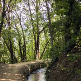 Rando Accompagnee : Le Canal De Bohere Et L'Abbaye Saint-Michel De Cuxa