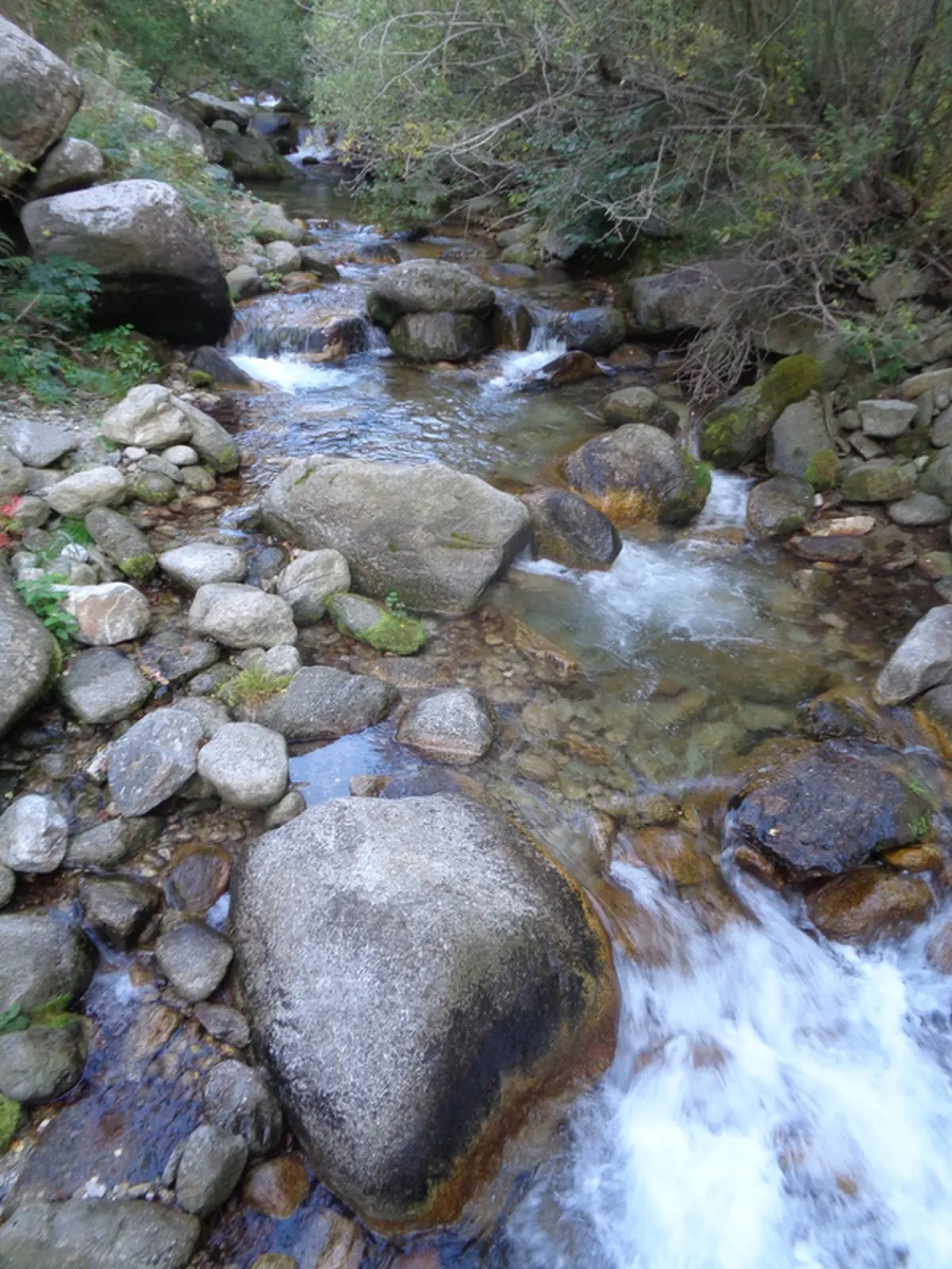 Rando Accompagnee : Sentier De Cantapoc Dans La Vallee De La Rotja