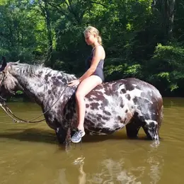 Rando baignade avec la Ferme des Grandes Oreilles