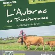 Rando Cœur des estives - L'Aubrac en Transhumance