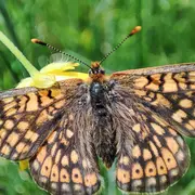 Rando découverte du site des prairies humides de la Fond du  Loup