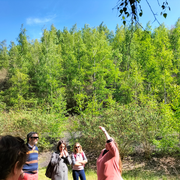 Rando-découverte - Le terril de l'Escarpelle