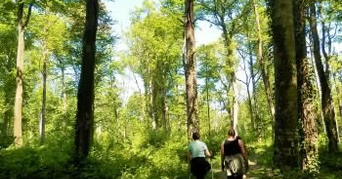 Rando du parc