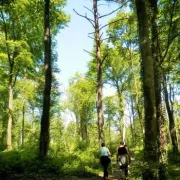 Parc Naturel Régional de la Montagne de Reims