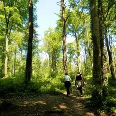 Parc Naturel Régional de la Montagne de Reims