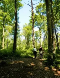 Parc Naturel Régional de la Montagne de Reims