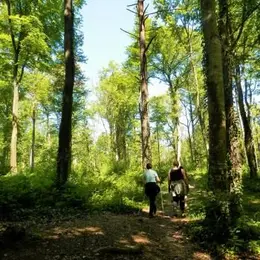 Parc Naturel Régional de la Montagne de Reims