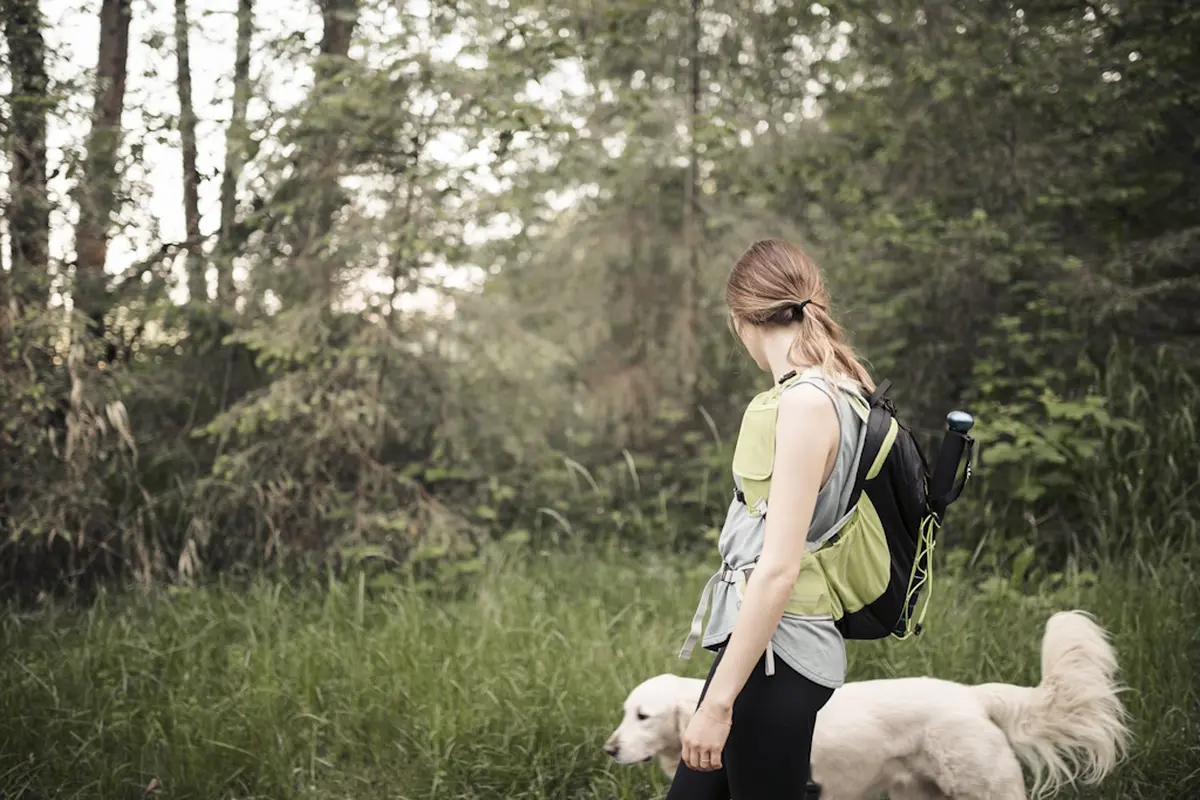 Rando et cani rando solidaires