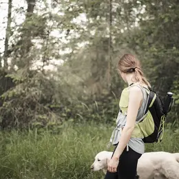 Rando et cani rando solidaires