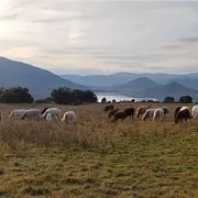 Rando Gourmande Sur Les Hauteurs Du Salagou