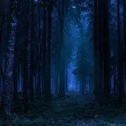 Rando Lune et Tartiflette