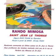 Rando mimosa