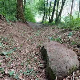 Rando nature