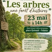 Rando Nature - à la découverte des arbres de nos forêts