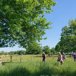 Rando-promenade