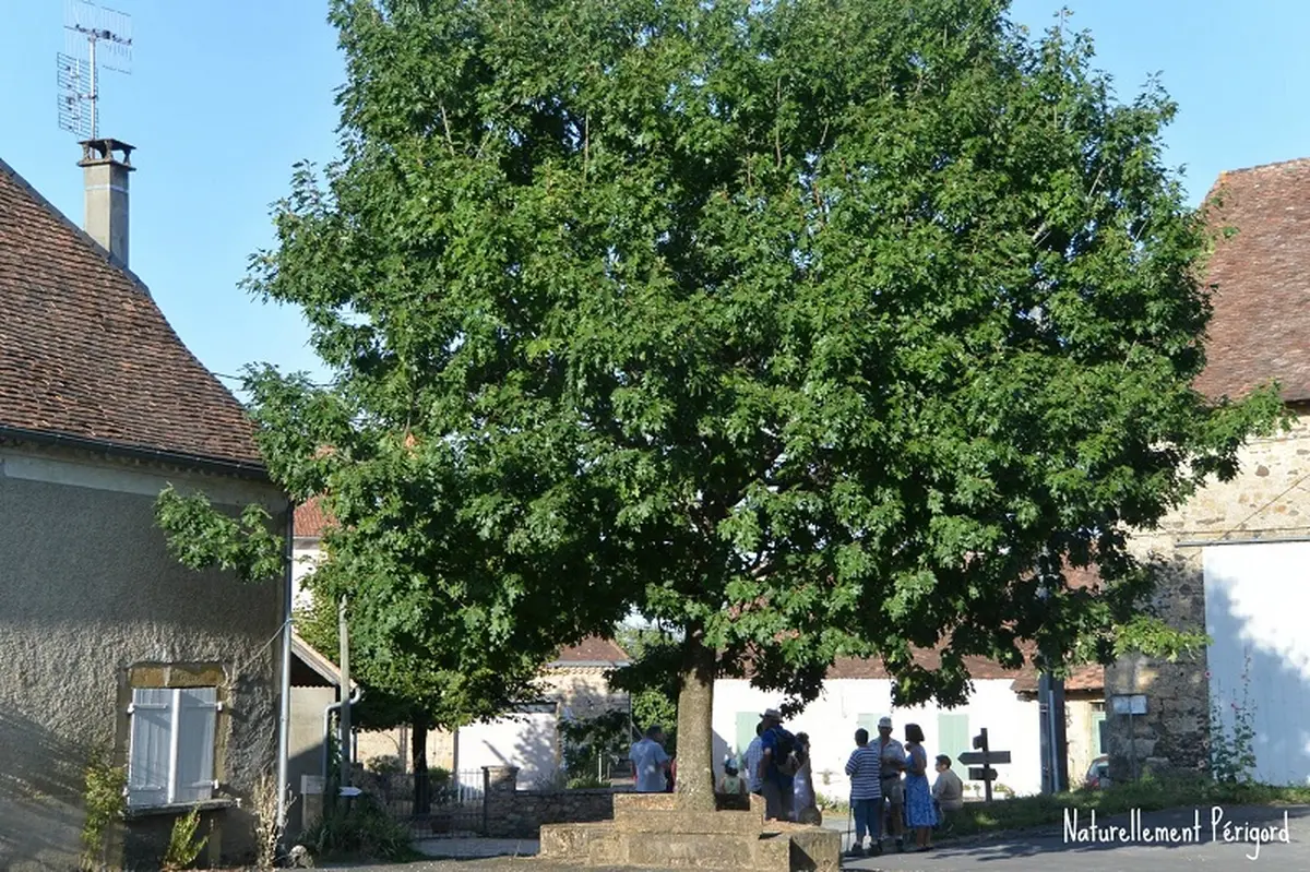 Rando repas à Gandumas