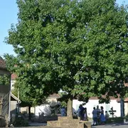 Rando repas à Gandumas