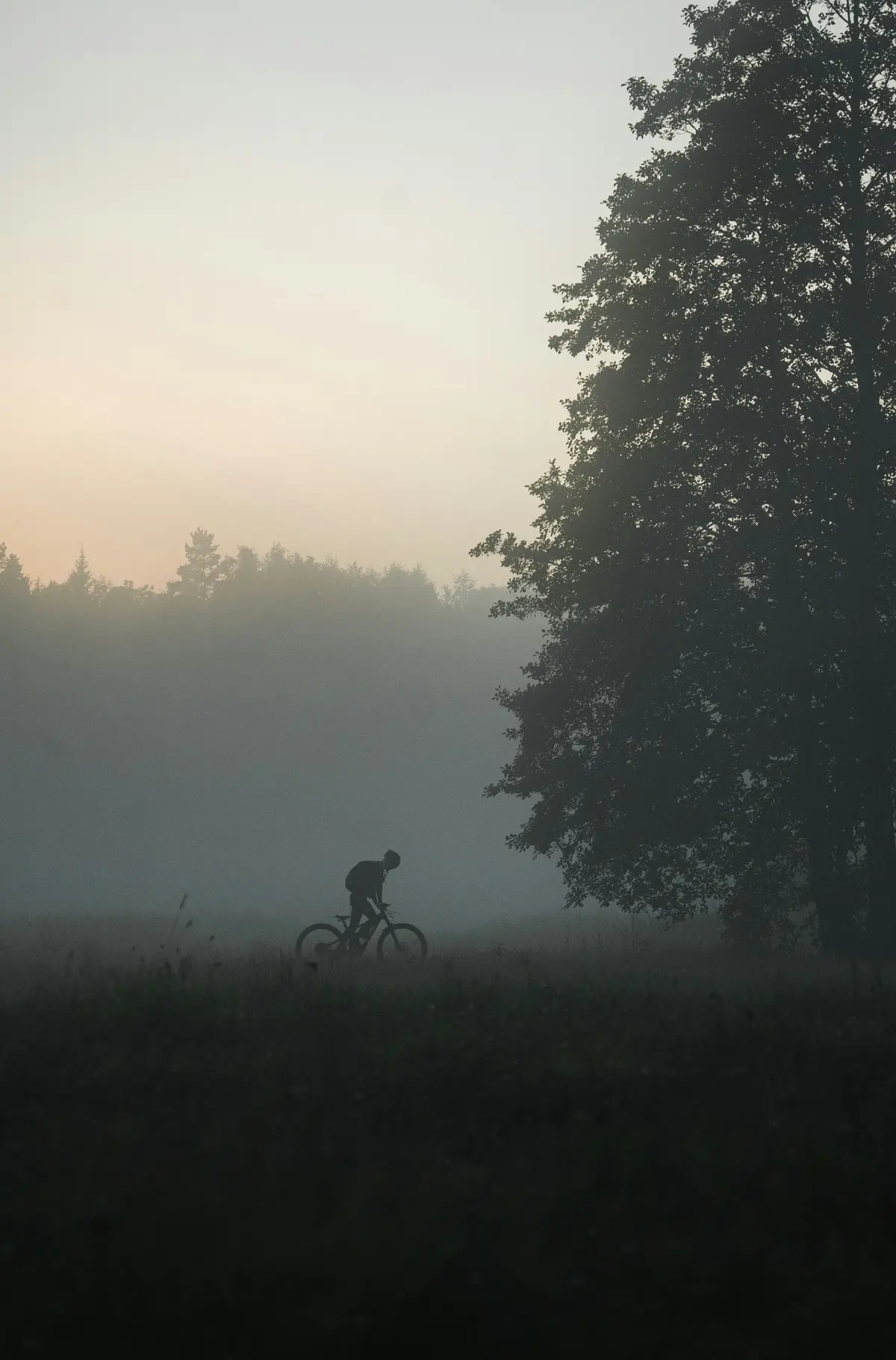 Rando Téléthon à Alvignac