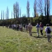 Rando tôt | Dès potron-minet sur les sentiers