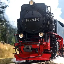 Rando train