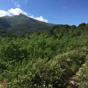 Rando-Visite Sorede, 2000 Ans D'Histoire