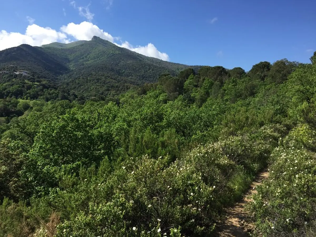 Rando-Visite Sorede, 2000 Ans D'Histoire