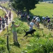 Rando VTT la Vert'Étiste