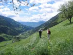 La randonnée, un sport idéal pour parcourir les Vosges d\'Alsace.
