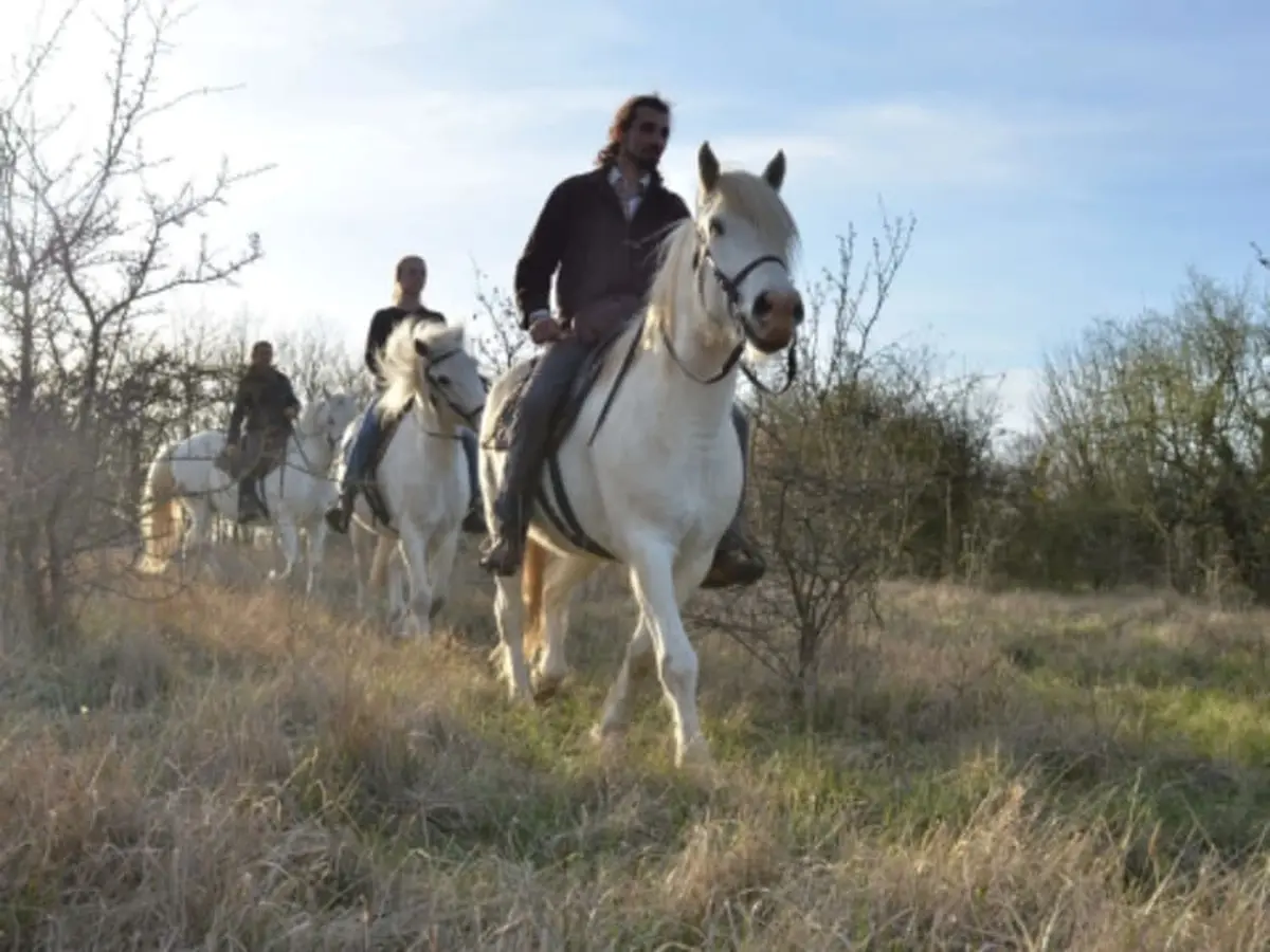 Randonnée à cheval à la journée à Vétheuil (95)