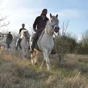Randonnée à cheval à la journée à Vétheuil (95)