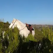 Randonnée à cheval en pension complète ou à la journée aux Ecuries du Petit Roman