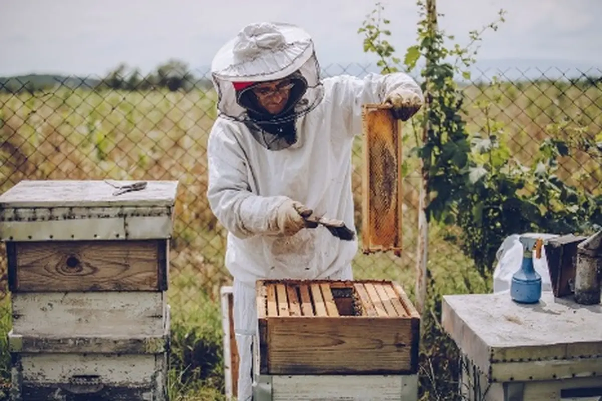 Randonnée à Grans : Évasion en garrigue et Secrets de la Miellerie
