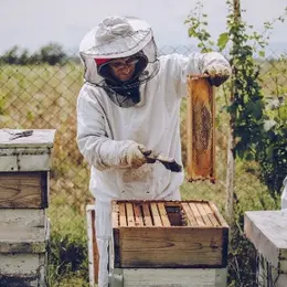 Randonnée à Grans : Évasion en garrigue et Secrets de la Miellerie