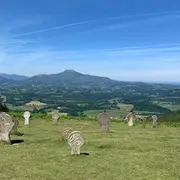 Randonnée À la rencontre des pottoks