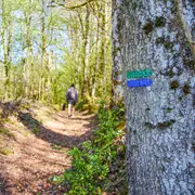 Randonnée accompagnée