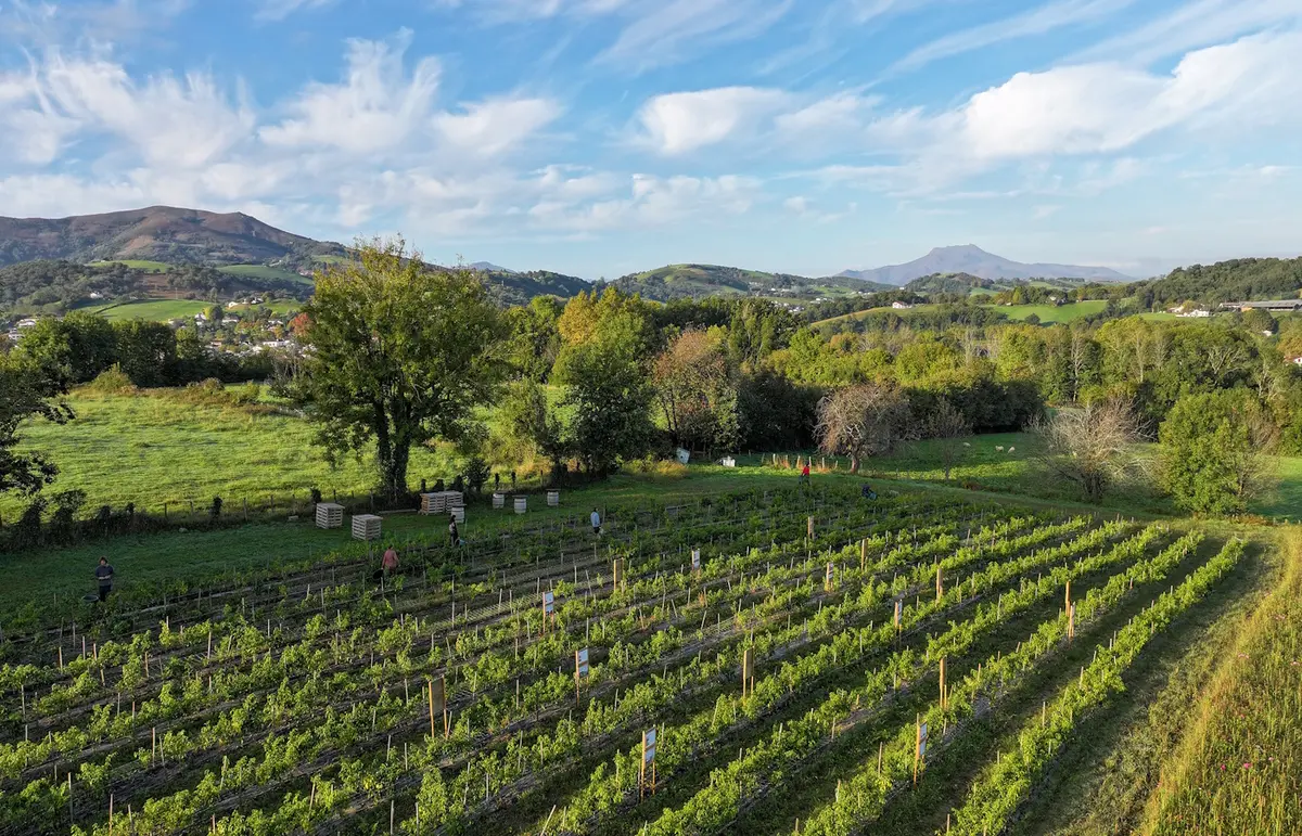 Randonnée accompagnée :  à la découverte du piment d'Espelette