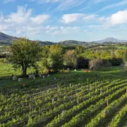 Randonnée accompagnée :  à la découverte du piment d'Espelette